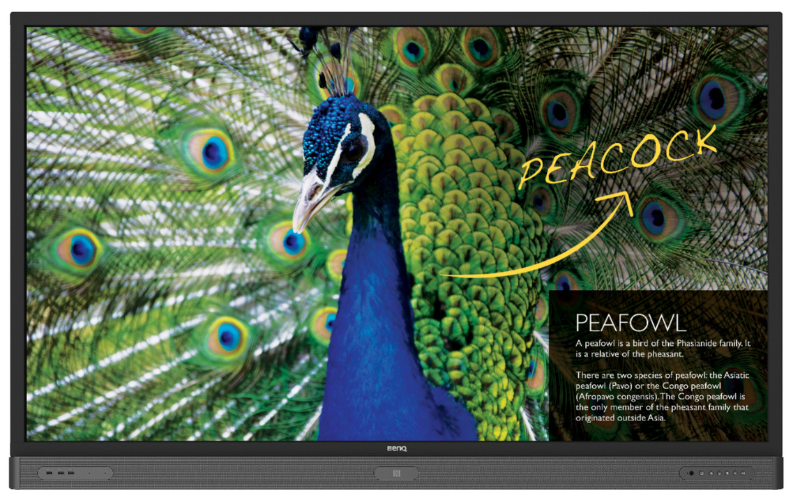BenQ Interactive Flat Panel Display Dealers in Chennai